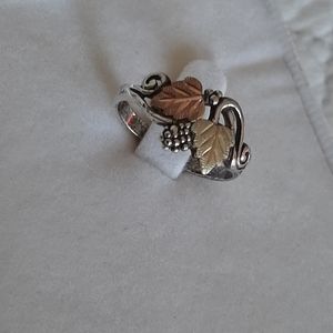 Black Hills of Montana set